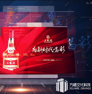 上海五粮液白酒自动化生产设备